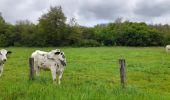 Trail Walking Crouy-sur-Ourcq - Marais de Negando et le Clignon depuis Crouy sur Ourcq - Photo 11