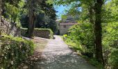 Trail Walking Vernet-les-Bains - Abbaye de St Martin du Canigou - Photo 15