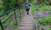 Trail Walking Oberhaslach - Le Nideck, entre ruines et cascades - Photo 9