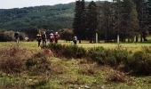 Trail Walking Collobrières - collobriéres les menhirs de Lambert - Photo 4