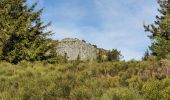 Excursión Senderismo Les Estables - Rocher Tourte - Photo 6