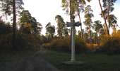 Randonnée Marche Saint-Jean-aux-Bois - en forêt de Compiègne_19_le Puits d'Antin_les Mares St-Louis_La Muette - Photo 17