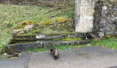 Trail Walking Stavelot - Stavelot 13 Km - Photo 11