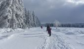 Trail On foot Waimes - Signal de Botrange: Rond de Venen - Photo 2