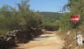 Trail On foot Paderne - Ribeira de Algibre - Photo 9
