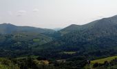 Randonnée Marche Bidarray - Bidarray - Photo 11