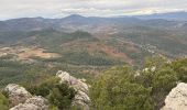 Tour Wandern La Roquebrussanne - La Roquebrussanne dec 2023 - Photo 17