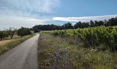 Trail Walking Chissay-en-Touraine - Chissay-en-Touraine - Zig zag Beaune les Durdents - 18.2km 330m 3h50 - 2024 08 14 - Photo 2