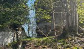 Percorso  Oberhaslach - Camping de luttenbach châteaux  - Photo 4