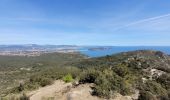 Tour Wandern La Seyne-sur-Mer - Cap Sicié et Notre Dame du mai - Photo 1