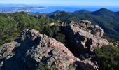 Tour Wandern Mandelieu-la-Napoule - Mandelieu - Chapelle St Jean - Baisse Violette - Suvières - Marsaou - Col des 3 Termes - Oeufs de Bouc - Photo 3