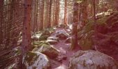 Randonnée Marche Soultzeren - Boucle Schildmatt / Lac vert / Auberge du Tanet - Photo 3