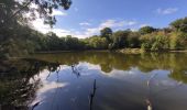 Randonnée Marche Clamart - Tour des etangs - Bois de Clamart et de Meudon - Photo 10