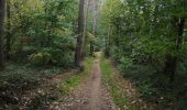 Tour Wandern Court-Saint-Étienne - Promenade à La Roche et petit aller-retour vers le ruisseau - Photo 9