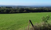 Randonnée Marche Durbuy - borlon _ durbuy  ( calme des bois et campagnes , traversée  d' une ville touristique......) - Photo 4