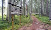 Percorso A piedi Saarijärvi - Kotajärven polku - Photo 8