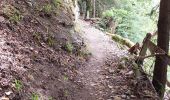 Trail Walking Ouhans - RANDONNEE A LA SOURCE DE LA LOUE - Photo 14