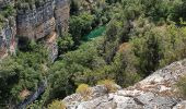 Randonnée Marche Baudinard-sur-Verdon - BAUDINARD  MONPEZAT - Photo 4