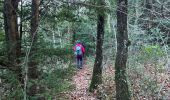 Trail Walking Plan-d'Aups-Sainte-Baume - Les béguines ste beaume Martine - Photo 7