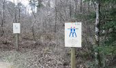 Trail Walking Touvre - Entre les sources de la Touvre et la forêt de bois blanc.  - Photo 7