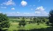 Tocht Stappen Meix-devant-Virton - rando gerouville 6-07-2023 - Photo 5