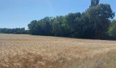 Tour Wandern La Bâtie-Rolland - La Batie-Rolland  Les Trois Panorama7km - Photo 2