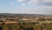 Tour Wandern Paradou - Le Paradou : les tours de Castillon - Photo 2