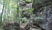 Trail Walking Echternach - mullerthal rando E1 . echternach . berdorf . echtrnach . via gorge du loup - Photo 15