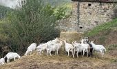 Percorso  Pranles - Volcan des Chirouses - Azur - Photo 20
