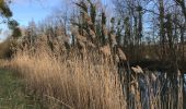 Trail Walking Pont-sur-Seine - De Pont sur Seine à Marnay - Photo 1