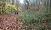 Excursión Senderismo Saint-Étienne-du-Rouvray - 20221115-La Maison des Forets - Photo 8