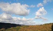 Trail Walking Manhay - De l'autre côté de la chavée - Photo 18