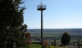 Excursión A pie Montferrand - Le Seuil de Naurouze par Avignonet-Lauragais - Photo 6