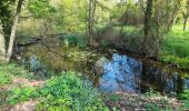 Randonnée Marche Allonnes - MAINE ET LOIRE: LE GUE DE LOUET - Photo 5