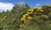 Trail Walking Valgorge - Meyrand to mélange - Photo 5