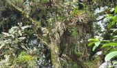 Tocht Stappen Baños de Agua Santa - Baños - Casa del Arbol - Photo 10