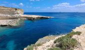 Tour Wandern Marsaxlokk - MALTE 2024 / 05 Marsaxlokk to Marsaskalla - Photo 20