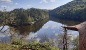 Tocht Stappen Houffalize - tour du lac des 2 ourthes - barrage de Nisramont  - Photo 7