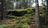 Excursión Paseo ecuestre Turquestein-Blancrupt - petit donon  - Photo 10