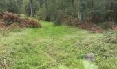 Percorso Marcia Spa - petit tour entre les fagnes Malchamps et James - Photo 10