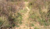 Trail Walking Mougins - Basique - Photo 2
