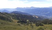 Excursión Senderismo Samoëns - plateau des saix . la corne . les biollaires . pointe de cupoire .  plateau des saix - Photo 5