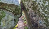 Tocht Stappen Fontainebleau - Fontainebleau sentier Denecourt Colinet 4 - Photo 17