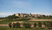 Tocht Noords wandelen Senouillac - Sentier des 4 châteaux Senouillac - Photo 1