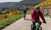 Trail Electric bike Soultz-Haut-Rhin - Florival  - Photo 6