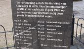 Tocht Te voet Kampen - WNW IJsseldelta - Station Kampen/Mandjeswaard - blauwe route - Photo 1