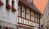 Tour Zu Fuß Altdorf bei Nürnberg - Altdorf 1 - Photo 10