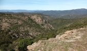 Trail Walking Collobrières - Les Maures-Collobrières-15-03-23 - Photo 6