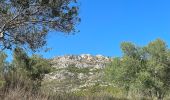 Tour Wandern Torroella de Montgrí - Castel de mont gris variante - Photo 1