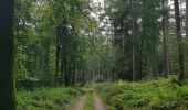 Tocht Stappen Bellencombre - Bellencombre forêt d'eawy - Photo 3